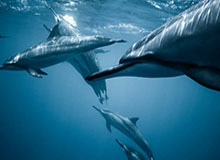 九游官方平台-【夜读】碰瓷？詹皇反诉摄影师并索赔100万